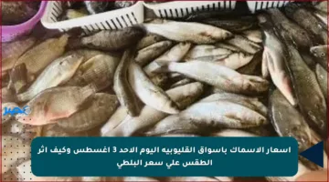 أسعار الأسماك بأسواق القليوبية اليوم الأحد 3 أغسطس وكيف أثر الطقس على سعر البلطى